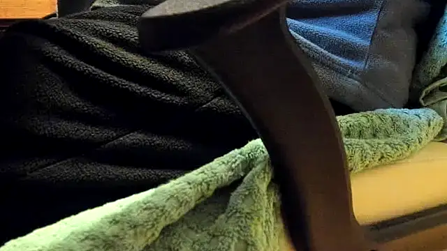 leccaleccafiga online show from February 4, 10:21 am