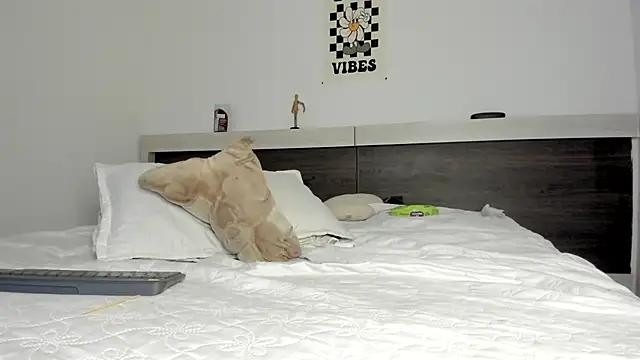 Snapshot of Harry_Jasoon chatting on February 4, 6:04 am Harry Jasoon online show from February 4, 6:04 am