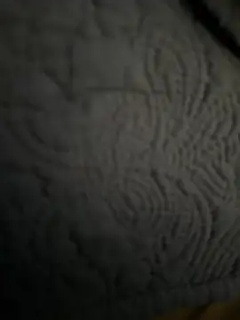 DAJ4002 online show from January 18, 1:35 pm