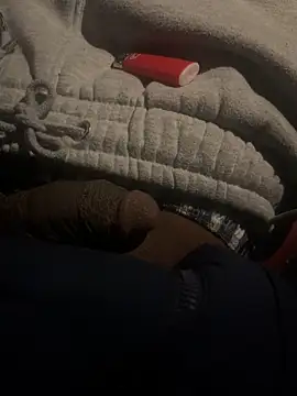 dingoding online show from February 22, 1:44 am