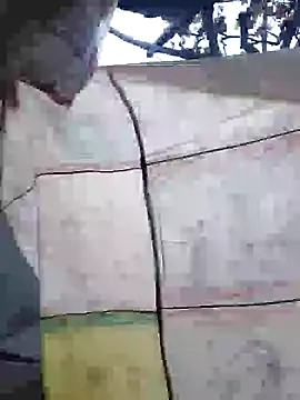 K-27 online show from November 7, 7:12 am