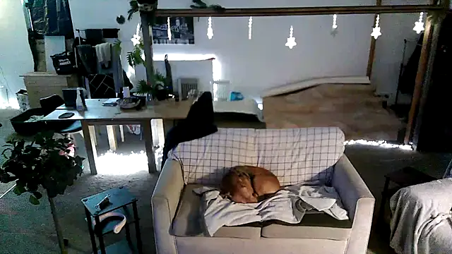 iamsex6969 online show from March 27, 6:17 am