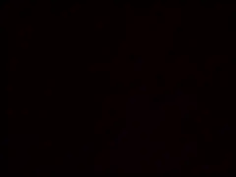 Vicusgdl online show from March 29, 9:42 am