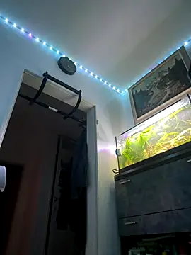 Toyjungee online show from November 4, 7:04 pm