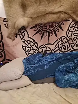 SexySantaC online show from December 17, 10:27 pm