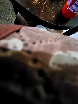 pajarol5co online show from January 26, 12:16 am