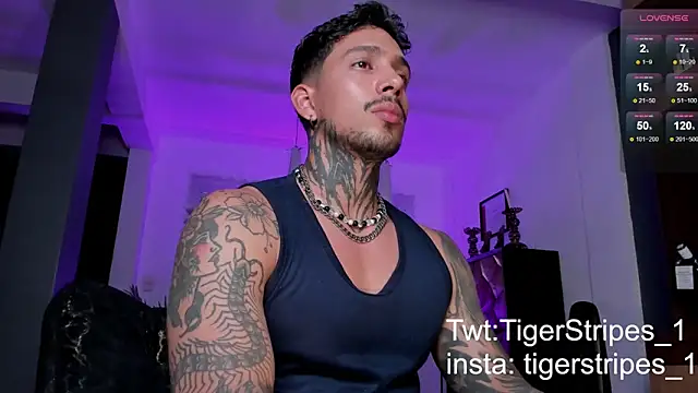 TigerStripes1  online show from February 10, 11:02 pm