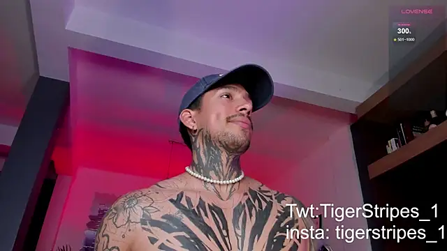 TigerStripes1  online show from March 3, 11:45 pm