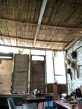 kvr27 online show from November 10, 11:26 am