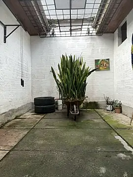 oliver price1 online show from November 12, 9:08 pm